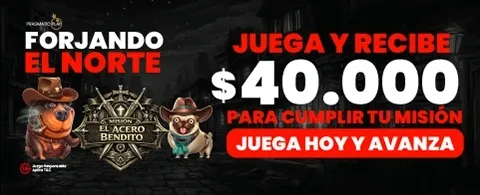 Bienvenido a clmicasinochile.net