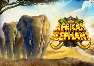 African Elephant